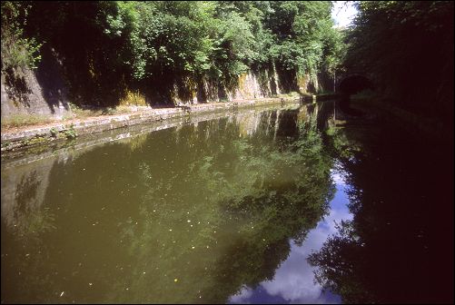Tchorski