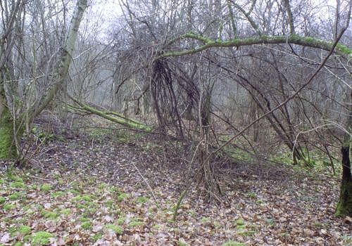 TCHORSKI
