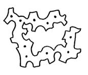 33