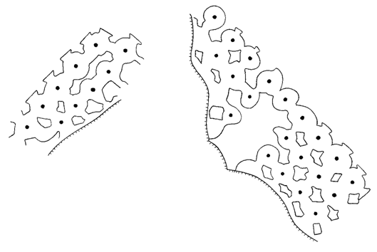 CCO