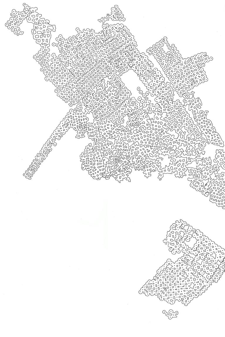 bdn1