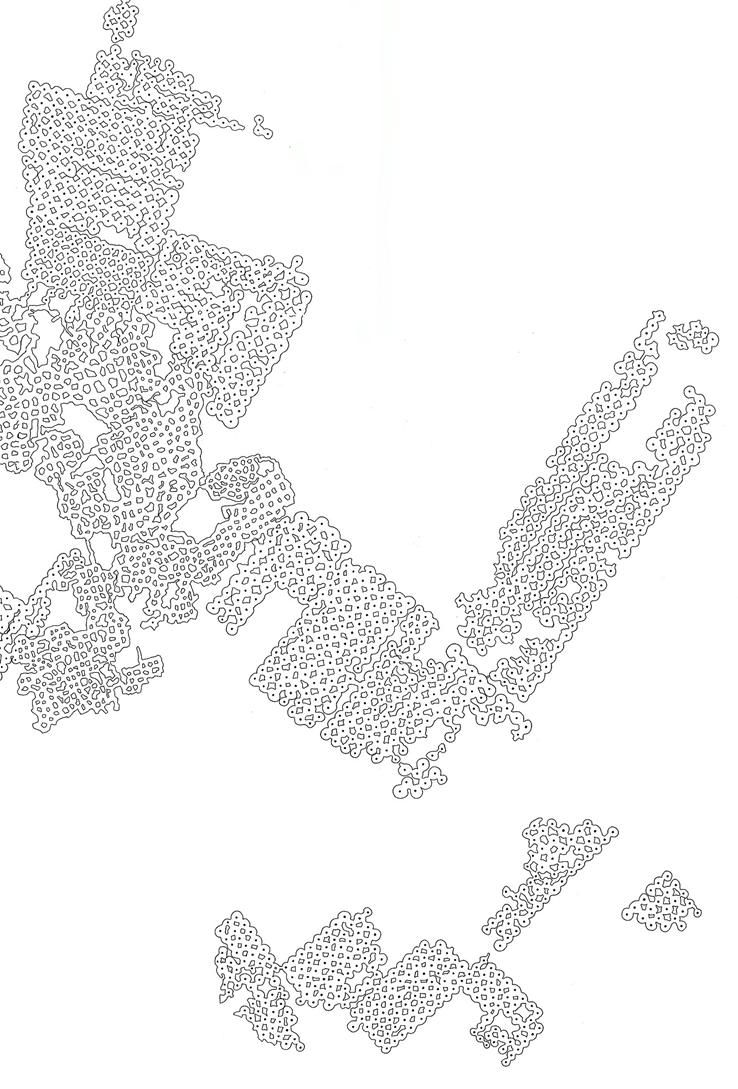 bdn2
