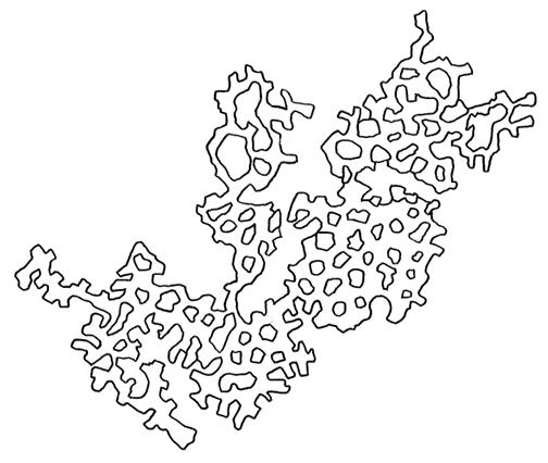 cavaignac