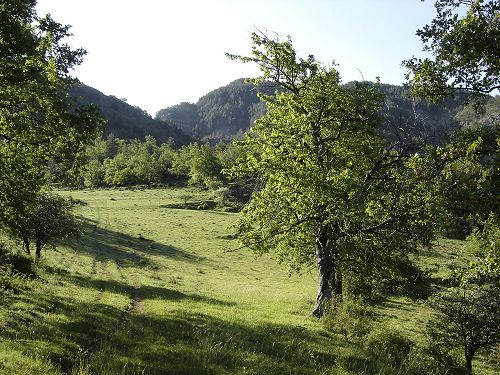 TCHORSKI