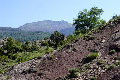 TCHORSKI
