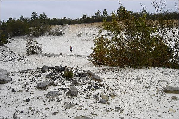 Tchorski