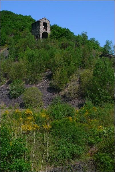 tchorski