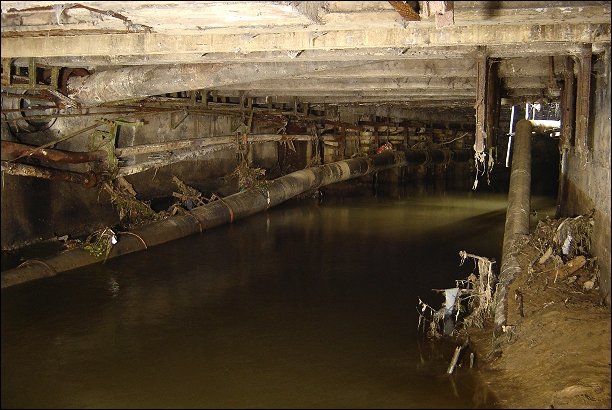 Tchorski