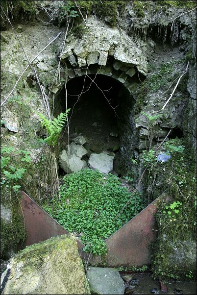 Tchorski