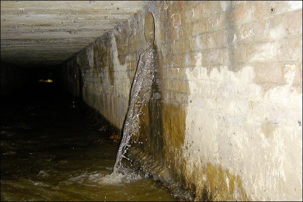 Tchorski