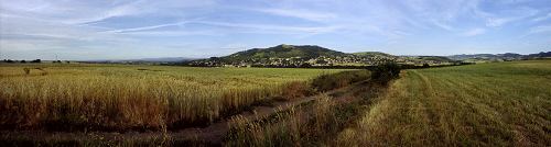 TCHORSKI