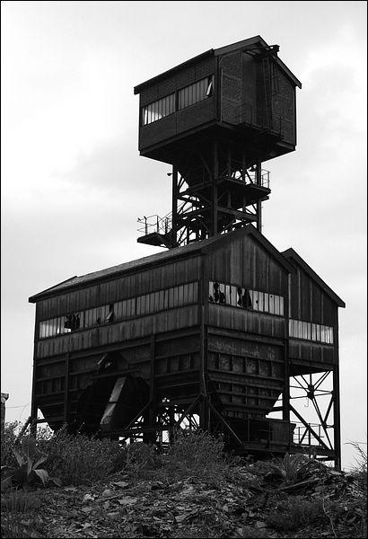 tchorski