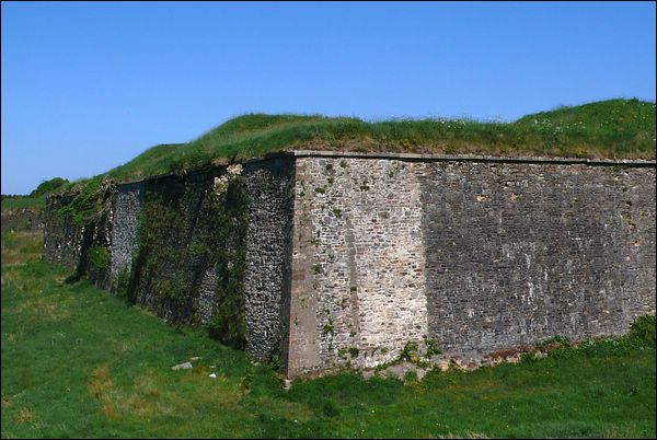tchorski