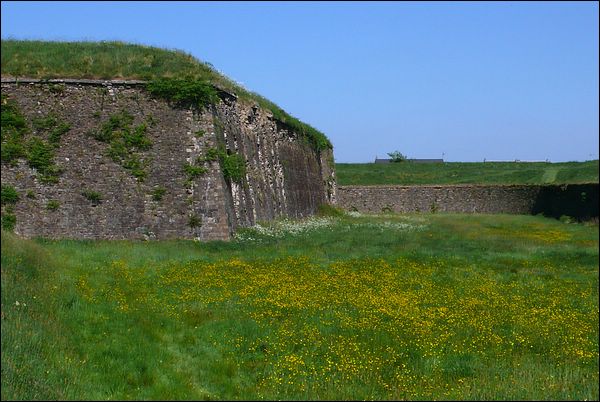 tchorski