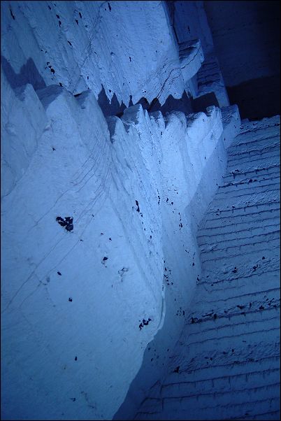 Tchorski