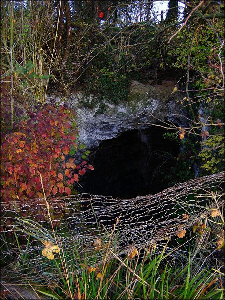 Tchorski