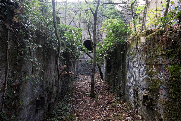Les structures de l'ancienne gare sont à peine lisibles