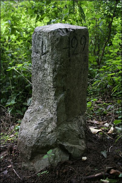 Tchorski