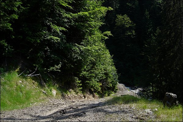 Tchorski