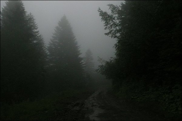 Tchorski