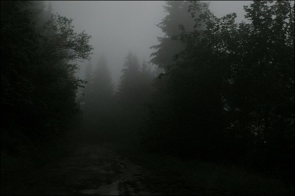 Tchorski